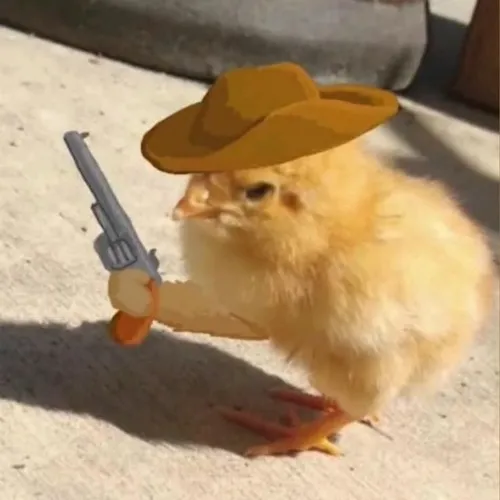 Meme gà cầm súng như cao bồi
