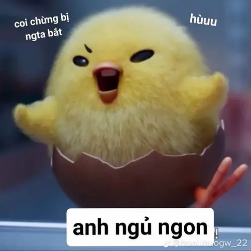 Meme chế gà mái nhìn chồng bằng nửa con mắt
