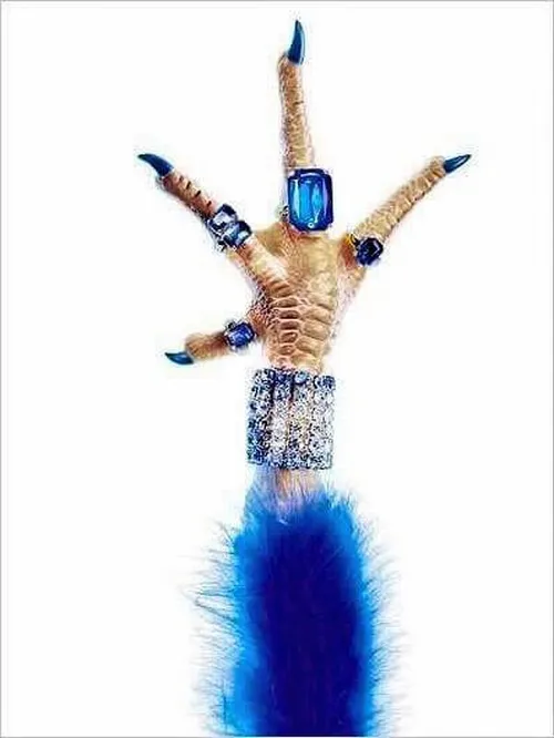 Meme chân gà đeo toàn đá quý đắt tiền