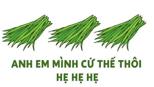 13 Meme chế ae mình cứ thế thôi hẹ hẹ hẹ gắn với Tú Sena