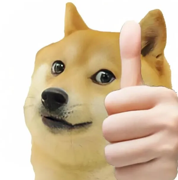 Chó Shiba like