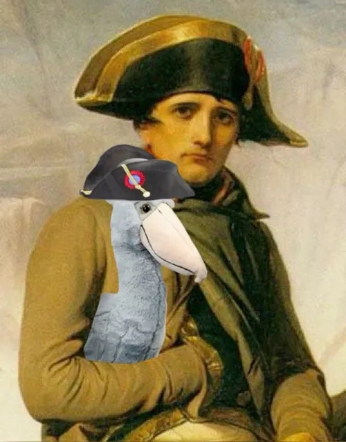 Meme quý tộc kết hợp caption tự trào cực bắt trend