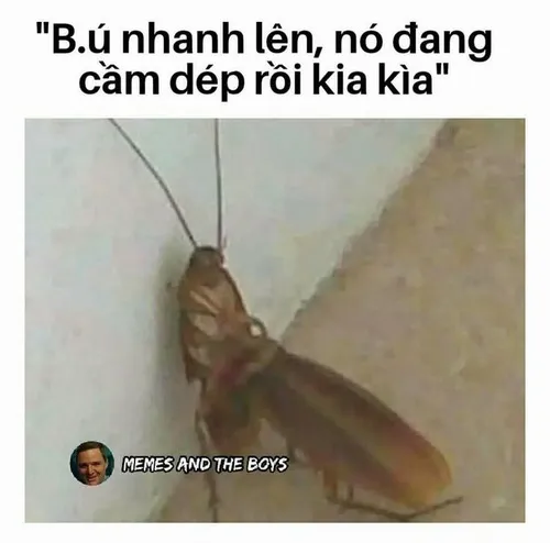 Gương mặt này đang phát sóng kênh “Tấu Hài TV”.