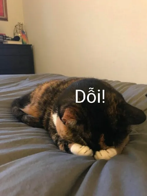 Biểu cảm lầy quá trời, vừa ngố vừa đáng yêu.