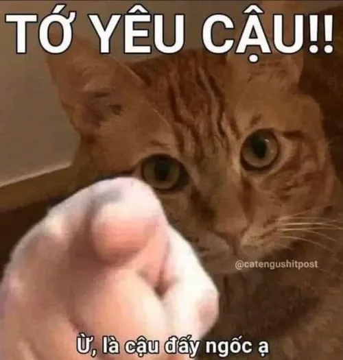 Ai mà nghĩ ra được cảnh tréo ngoe thế này chứ.