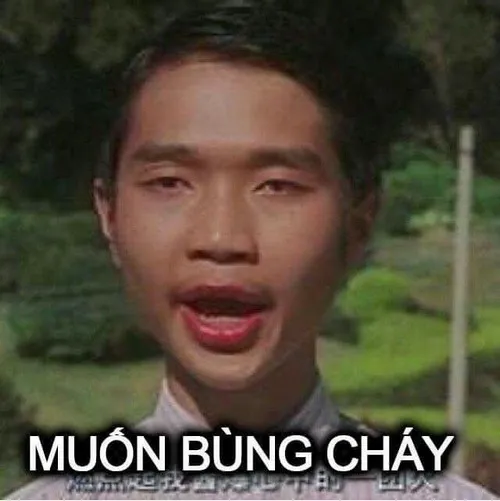 Meme đúng kiểu “nói hộ nỗi lòng dân mạng”.