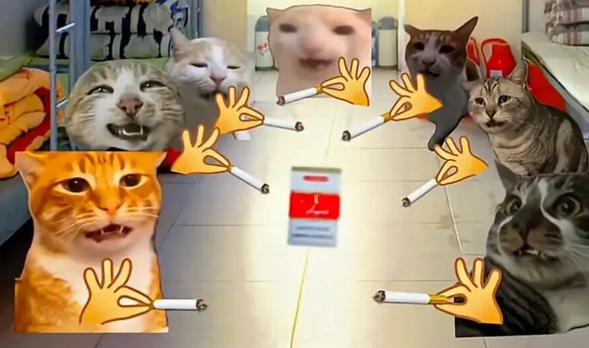 Wallpaper meme bựa đậm chất GenZ phá cách.