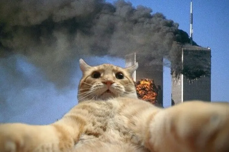 Wallpaper PC hài troll, caption phũ mà cưng.