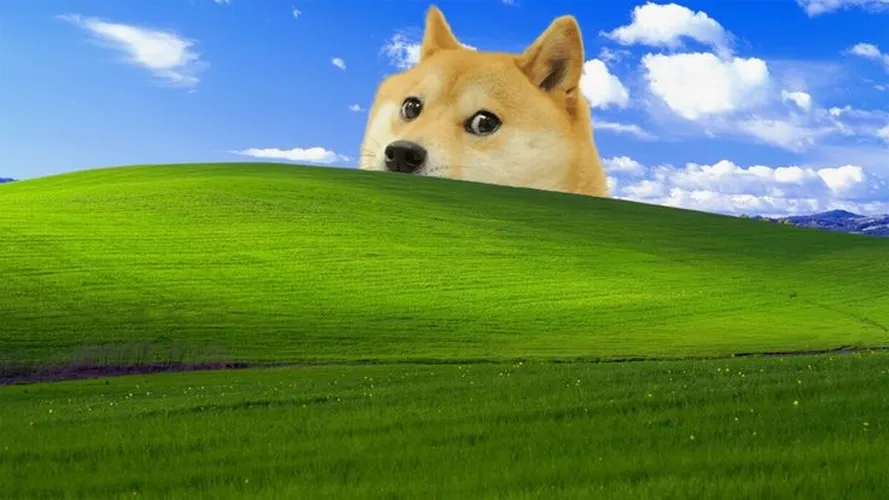 Hình nền máy tính hài troll, vibe năng lượng sáng.