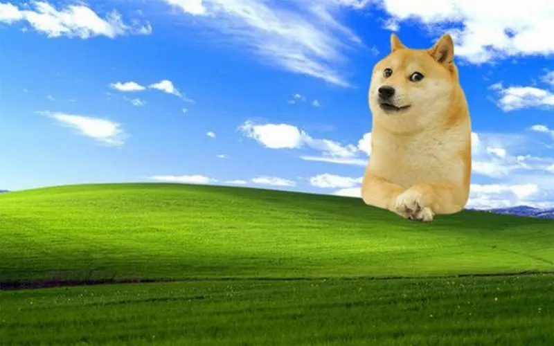 Wallpaper PC dễ thương với mèo ngủ gật siêu đáng yêu.