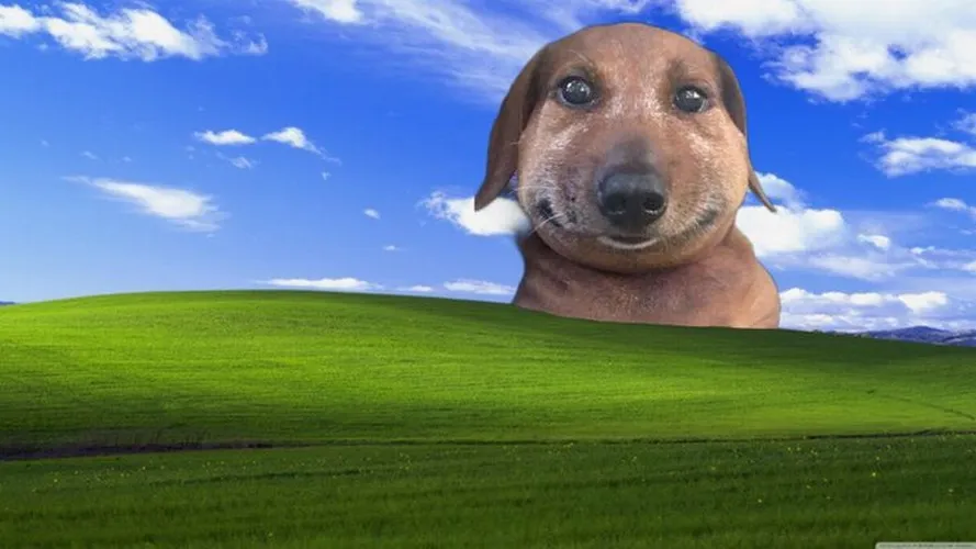 Wallpaper PC hài kiểu “deadline hôm qua” cực relatable.