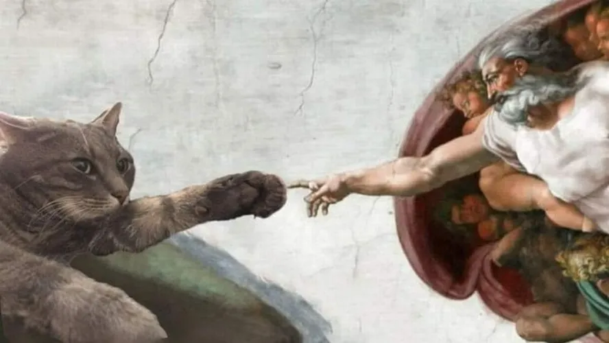 Wallpaper meme bựa đúng kiểu dân mạng “vô tri”.