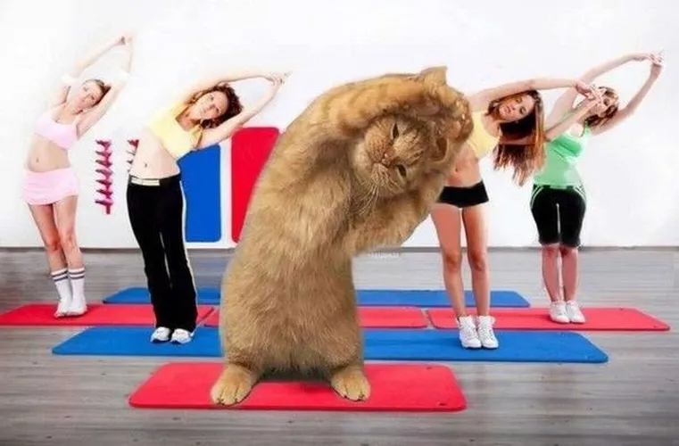 Hình nền máy tính nhây kiểu caption ngắn mà sâu cay.