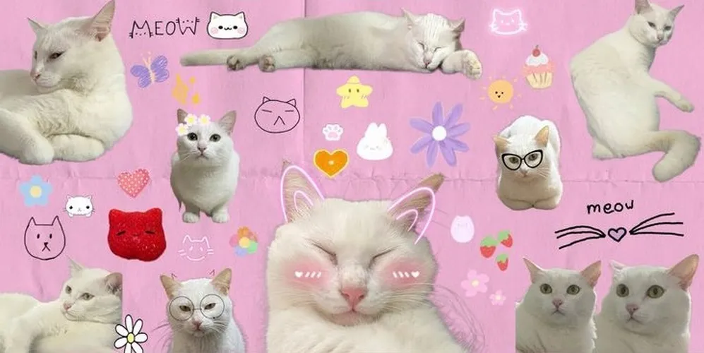 Wallpaper meme cute kiểu Pikachu cười toe răng.