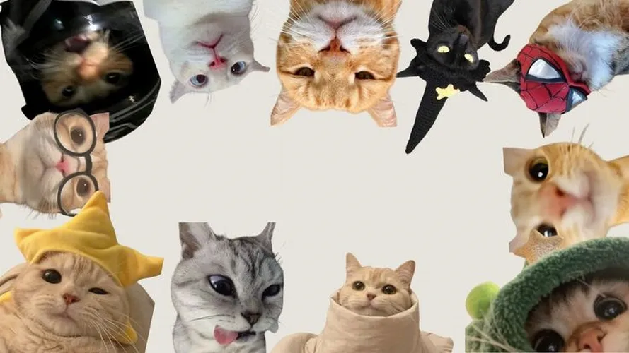 Hình nền máy tính nhây kiểu “ok làm lại đi em”.