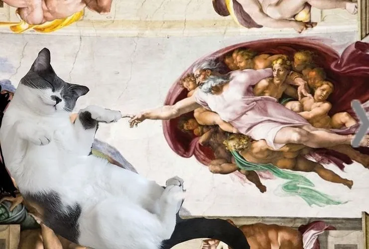 Hình nền laptop cute pha nhây, vibe sáng cực tươi.