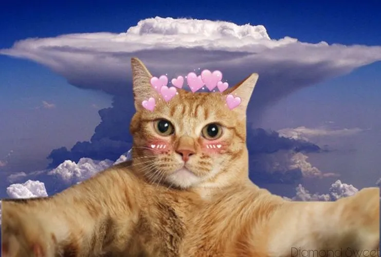 Wallpaper meme dễ thương kiểu anime, vibe nhẹ nhàng.