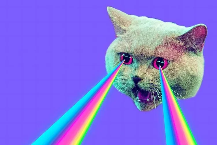 Hình nền máy tính dễ thương, phối màu nhẹ pastel.