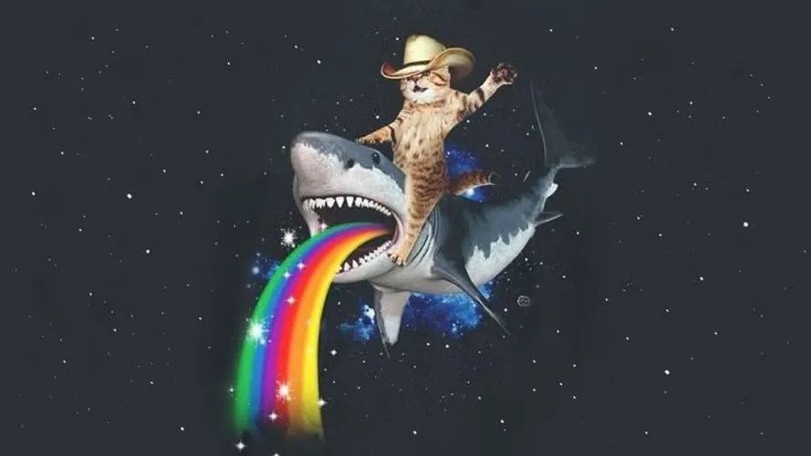 Wallpaper meme bựa vừa đủ, bật máy là cười liền.