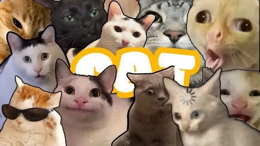 Wallpaper PC dễ thương kiểu mèo nắm tay gấu.