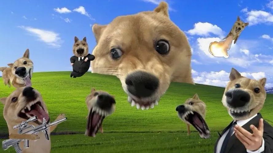 Wallpaper PC bựa hài đúng kiểu “có vui mới sống nổi”.