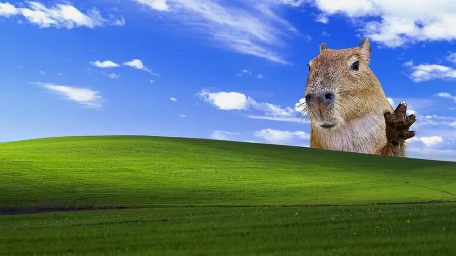 Wallpaper meme dễ thương kiểu Shiba ngáo.