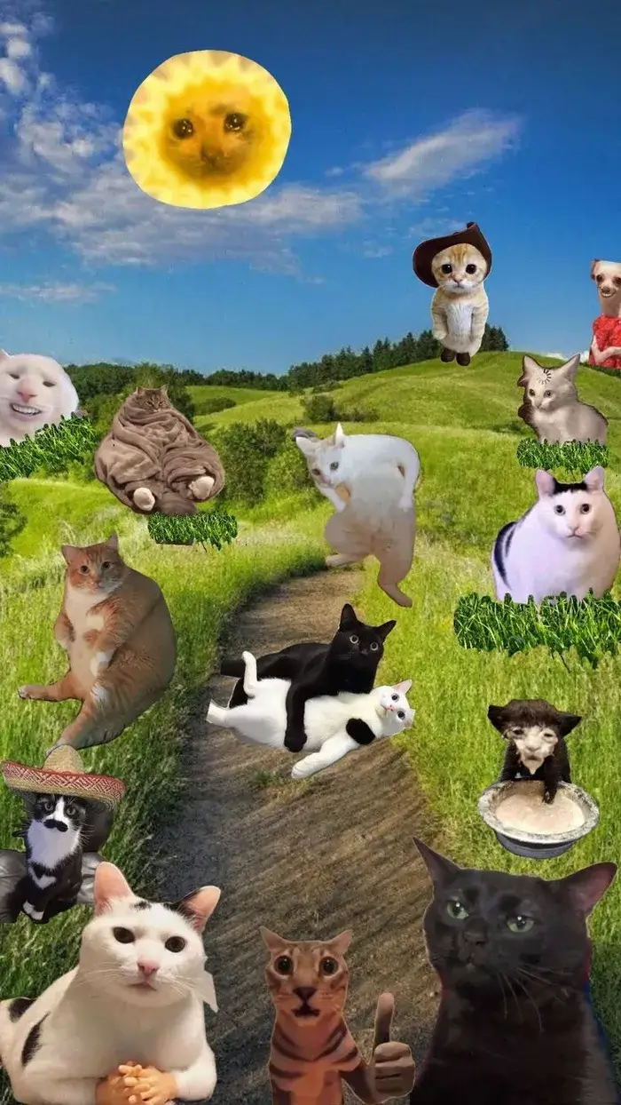 Hình nền troll meme Spongebob cười rách mặt