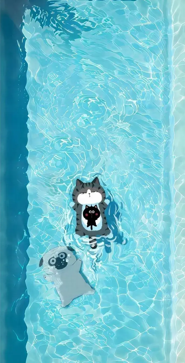 Ảnh troll wallpaper phản ánh gu thẩm mỹ riêng