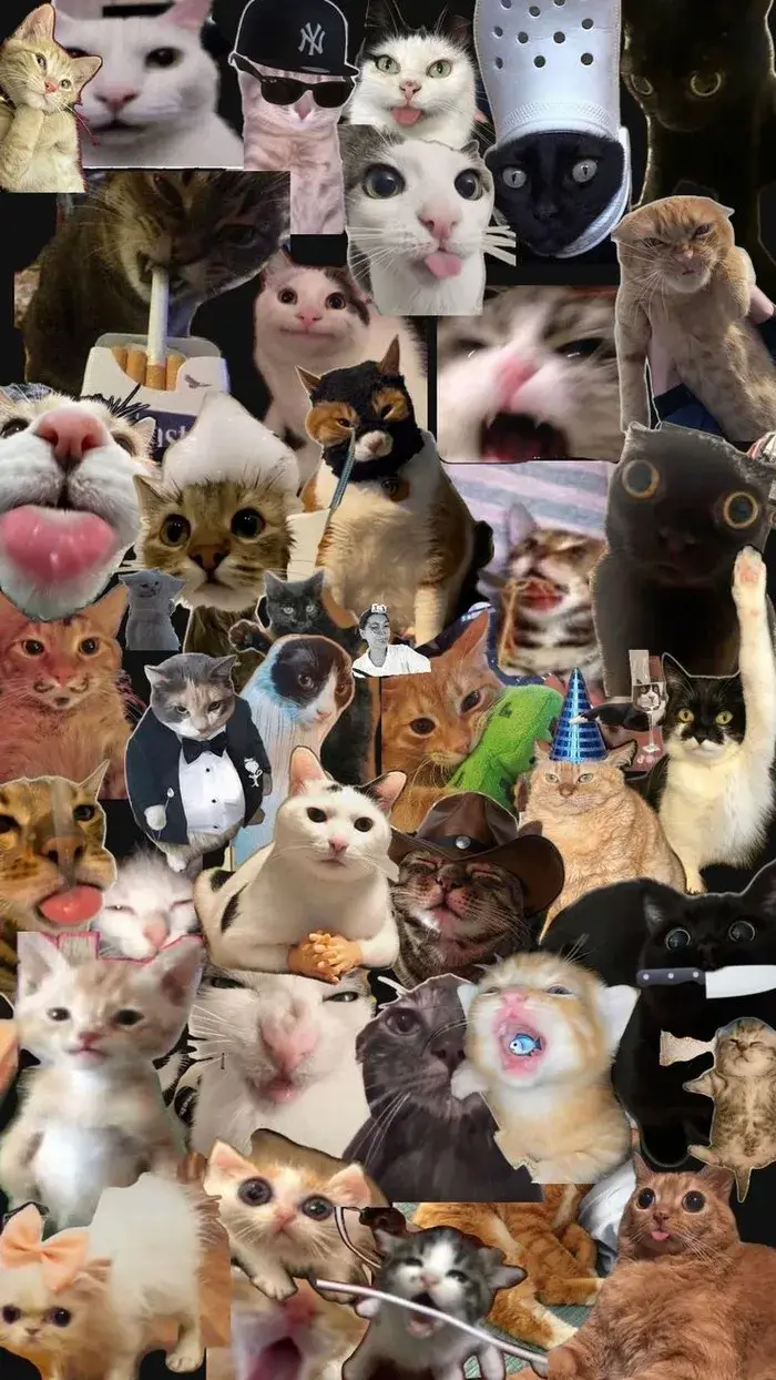 Meme wallpaper gợi cảm giác chill và phá cách