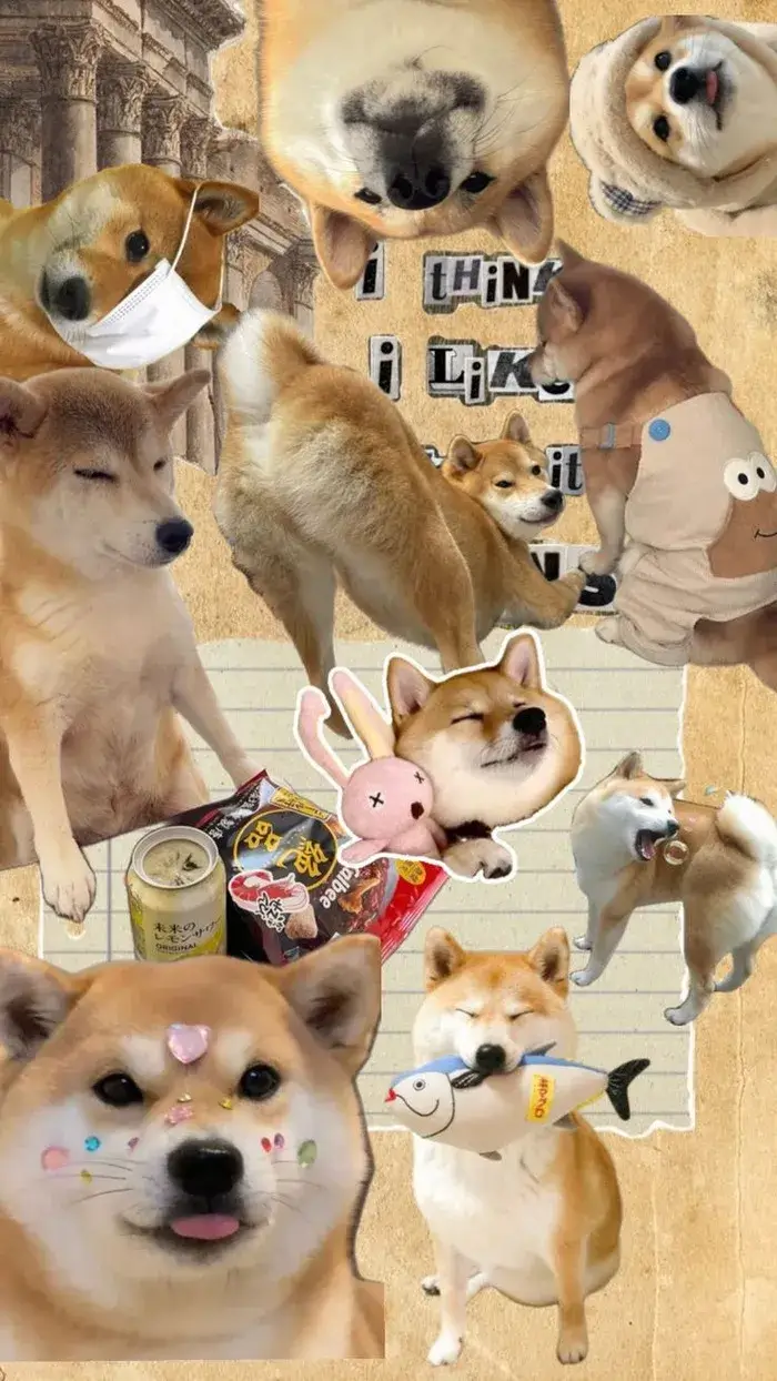 Ảnh chế nền TikTok mang vibe sống động GenZ