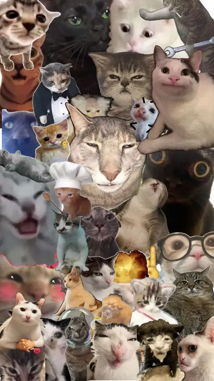 Ảnh troll nền điện thoại phối màu pastel dịu