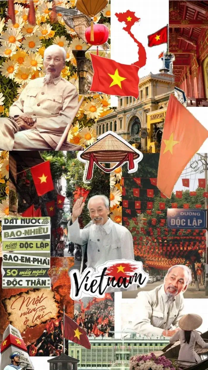 Hình nền troll meme Gấu trúc cực đáng yêu