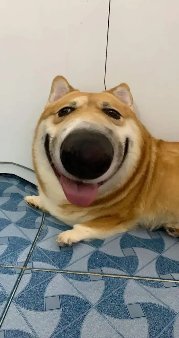 Hình nền ff meme kiểu game thủ, tone đỏ lửa bắt trend.