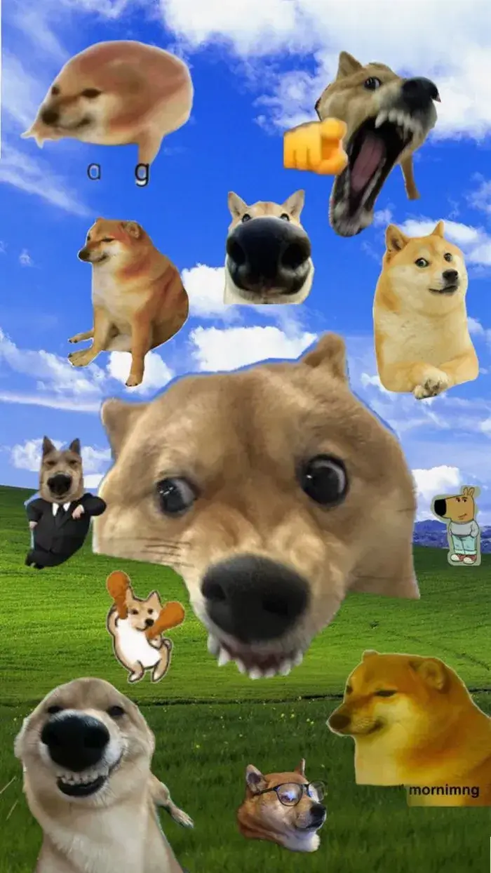 Hình nền chill guy meme minimal, vibe yên mà vui.