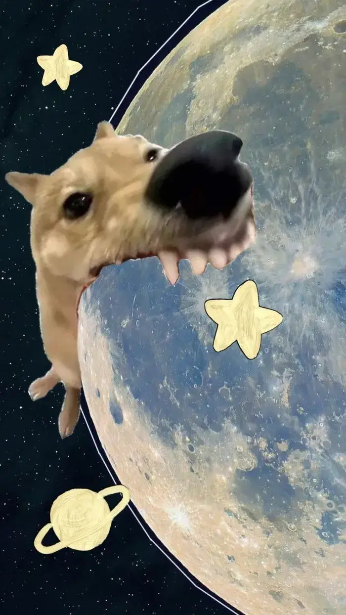 Wallpaper vịt troll biểu cảm ngáo, nền sáng cực cute.