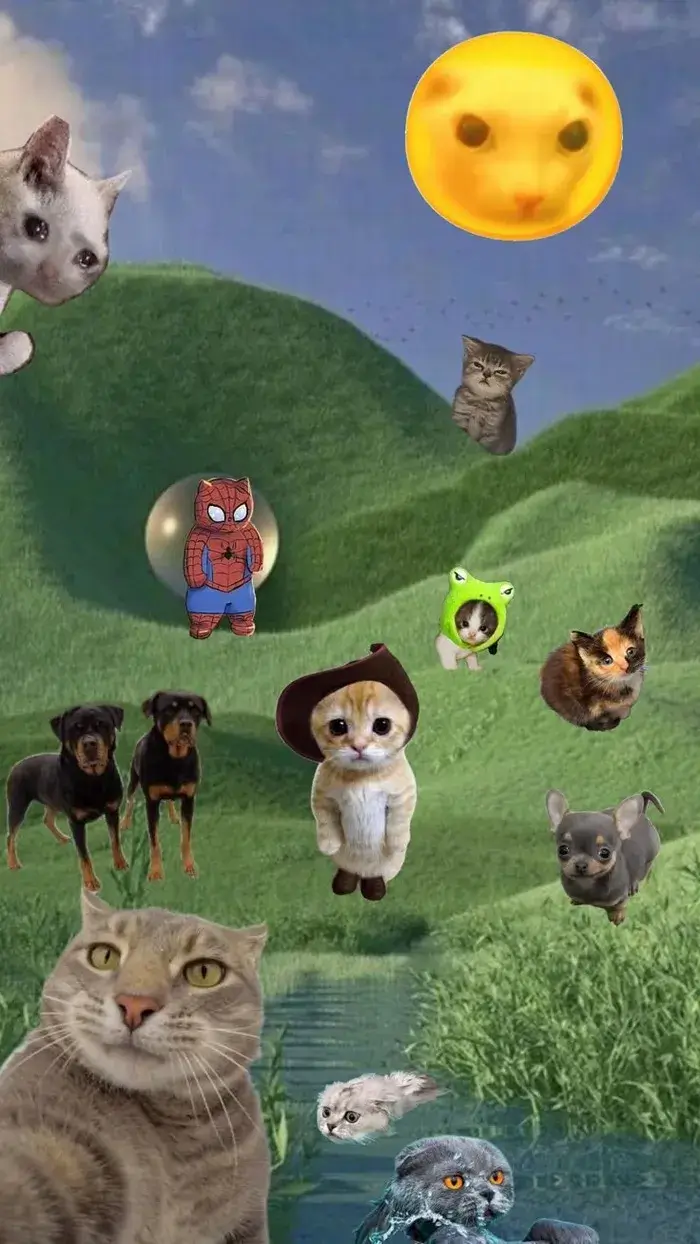 Wallpaper người nhìn xa, vibe chill nhẹ kiểu “deep hài”.