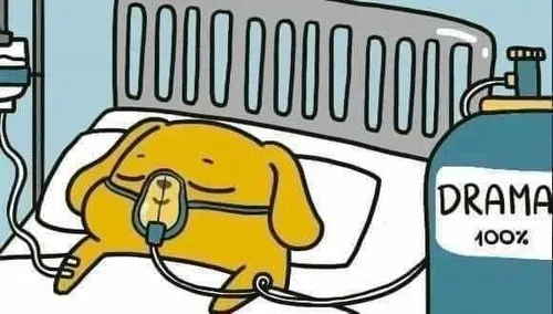 Bộ sưu tập hít drama meme từ Selfish Meme giúp bạn thể hiện tâm trạng Bộ sưu tập hít drama meme từ Selfish Meme giúp bạn thể hiện tâm trạng