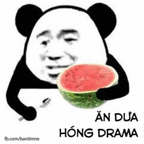 Ảnh vui kiểu “đừng gọi tao, tao đang hít drama”