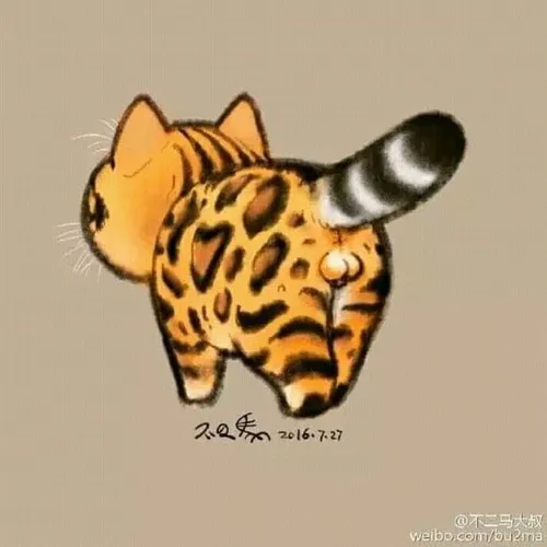 Meme hổ mập lạnh lùng, visual đỉnh cao ngút trời