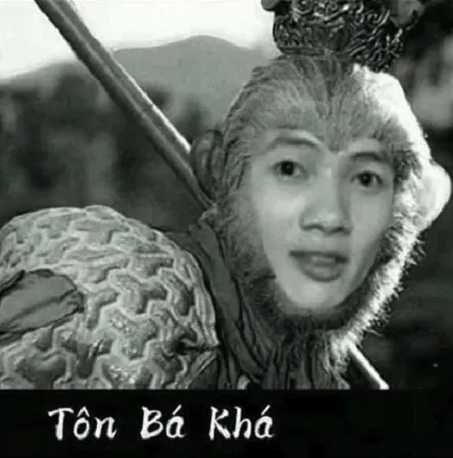 31 Meme hài phản ánh dư âm xã hội mạng Việt