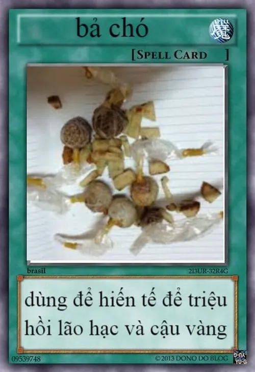 Ảnh chế lá bài bả chó vừa thấy đã cười