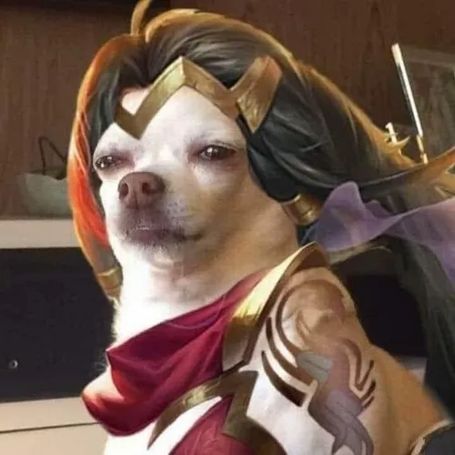 Raz đấm bay trụ, highlight cực khét luôn