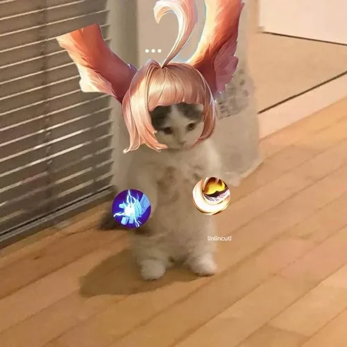 Meme hài thua mà vẫn tấu hài cực mạnh