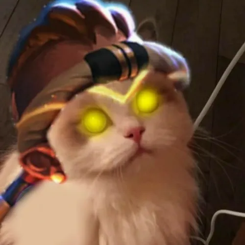 Hình troll team quăng game vẫn chụp hình kỷ niệm