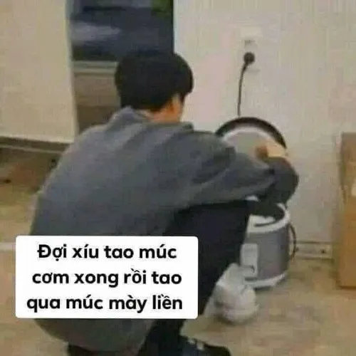 Hình troll chữ: Đợi xíu tao múc cơm cho xong rồi tao qua múc mày liền