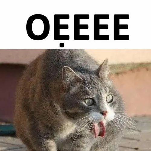 Meme mèo buồn nôn – phản ứng quốc dân mỗi khi gặp cảnh giả trân Meme mèo buồn nôn – phản ứng quốc dân mỗi khi gặp cảnh giả trân