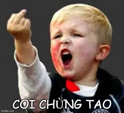 Meme mày coi chừng tao, troll bạn thân là hết sảy.