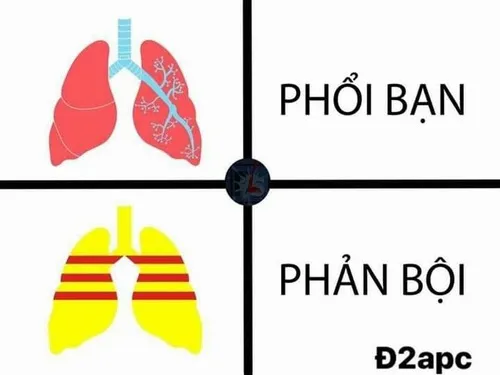 7 Meme 3 que trên Reddit và Facebook: tiếng cười xen lẫn đối kháng