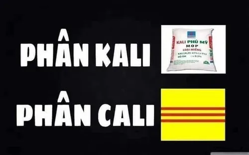 19 Meme hài biểu tượng VNCH bị remix thành ảnh chế bá đạo
