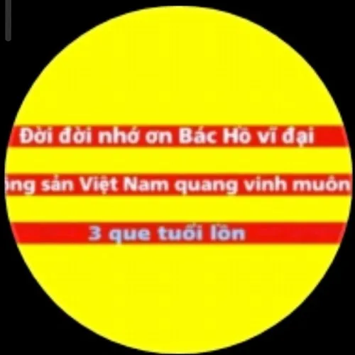 21 Hình chế 3 que dùng biểu tượng quốc kỳ giai đoạn 1949-1975